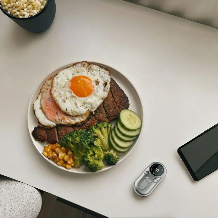 balanced meal and digestion support routine