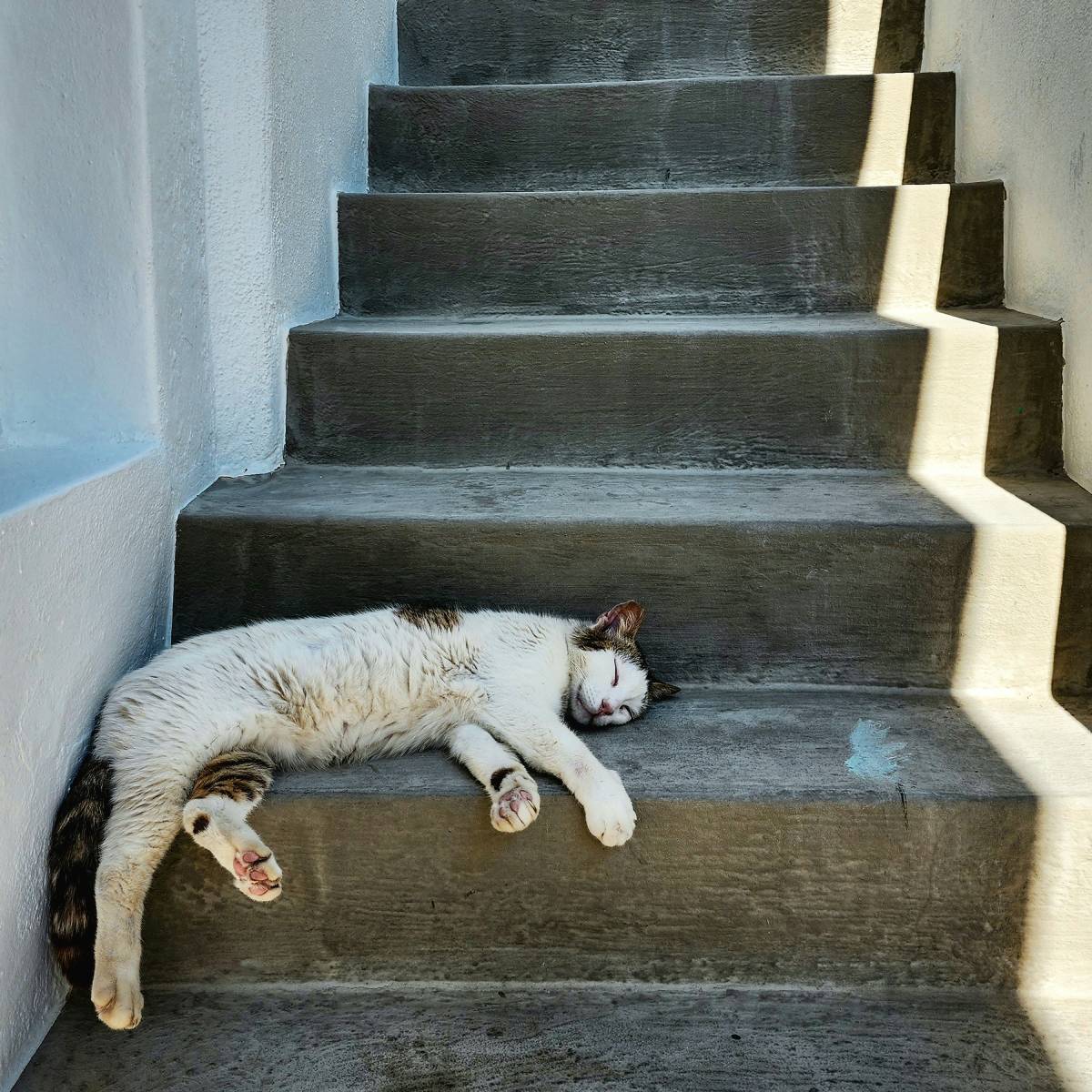 World Sleep Day 2026: Better Sleep Starts Here — How taVNS May Support Rest, Recovery, and Resilience