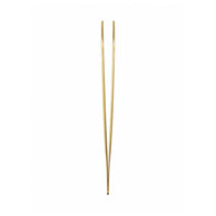 Vagus Pin