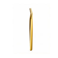 Vagus Pin
