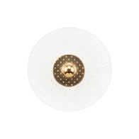 Vagus Pin
