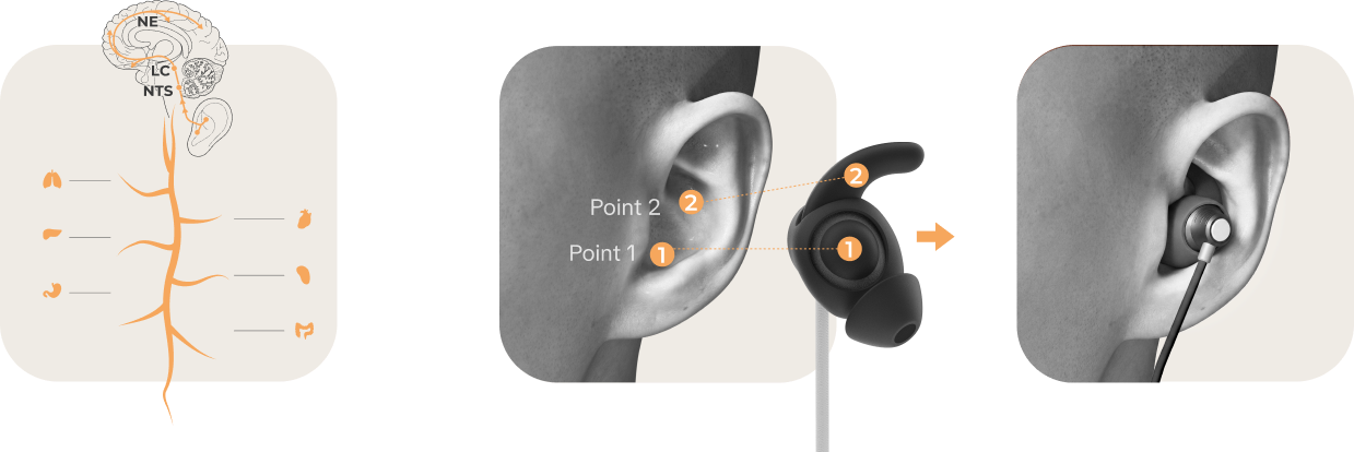 Vita Mini earpiece placement diagram